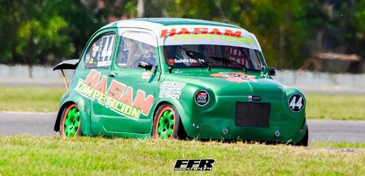 EL AÑO DE LOS HASAM