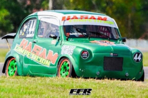 EL AÑO DE LOS HASAM