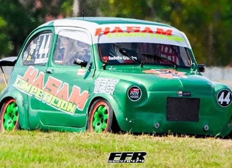 EL AÑO DE LOS HASAM